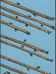 Tarot karta Osmica palice — pokončno