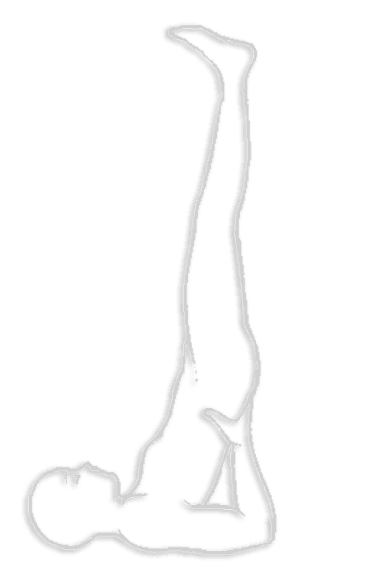 Viparita mudra — obrnjena drža